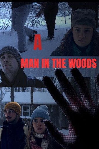 A Man in The Woods () poster