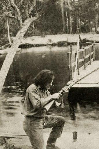 Kit, the Arkansaw Traveler (1914) poster