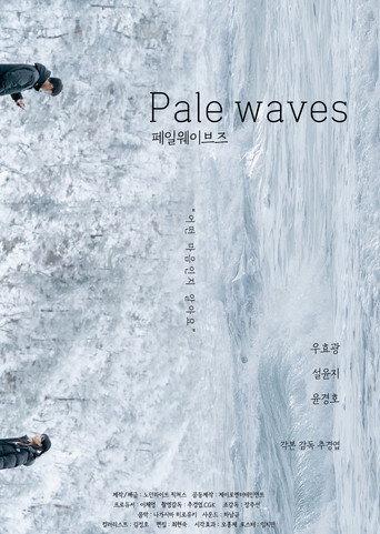 Pale Waves () poster