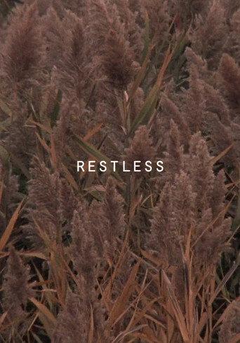 Restless (2017) poster