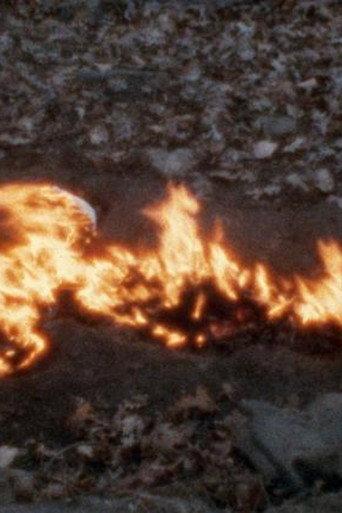 Alma, Silueta en Fuego (1975) poster