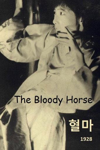 The Bloody Horse (1928) poster
