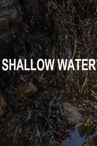 Shallow Water () poster