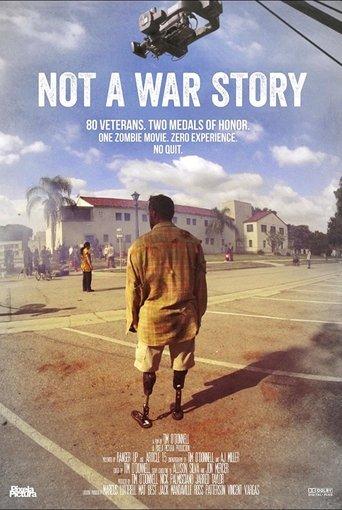 Not a War Story (2017) poster