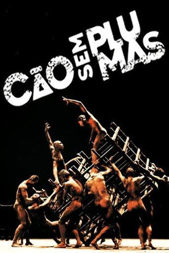 Cão sem Plumas (2020) poster