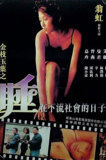 Undercover Girls (1999) poster