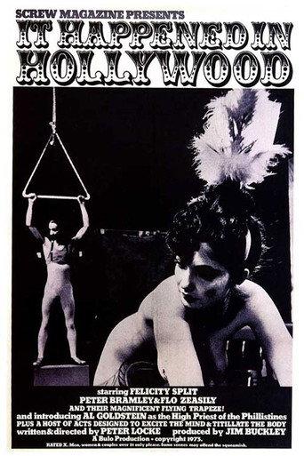It Happened in Hollywood (1973) poster