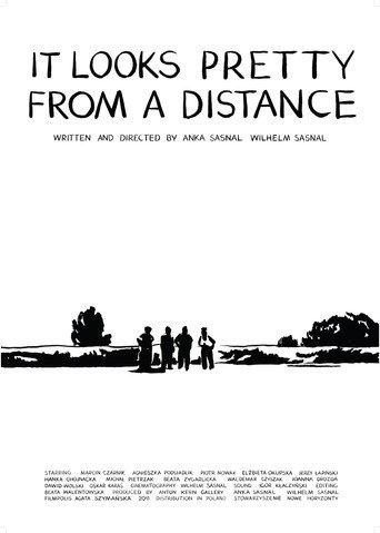 It Looks Pretty from a Distance (2012) poster