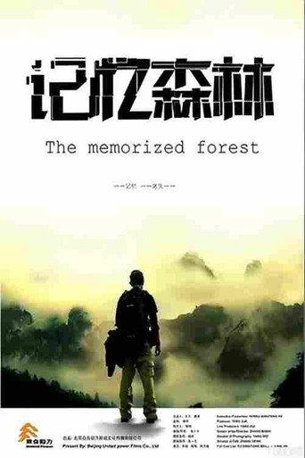 记忆森林 (2013) poster