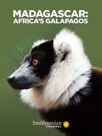Madagascar: Africa's Galapagos (2019) poster