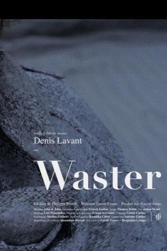 Waster () poster