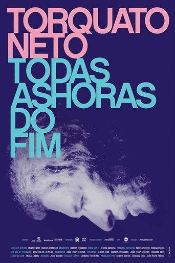 Torquato Neto - Every Hour of the End (2017) poster