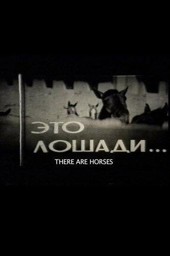 There Are Horses (1965) poster
