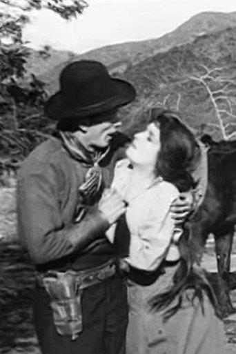 Slim Jim's Last Chance (1911) poster