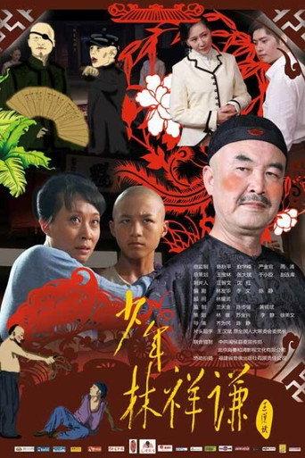 Junior Lin Xiangqian (2013) poster