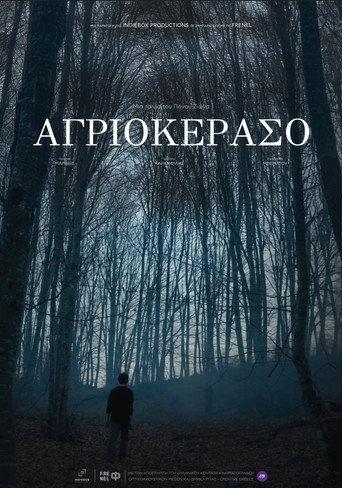 Wild Cherry (2025) poster