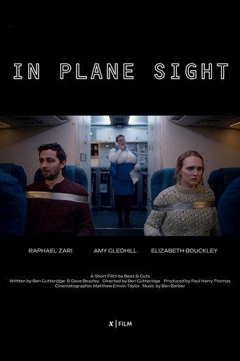 In Plane Sight (2023) poster