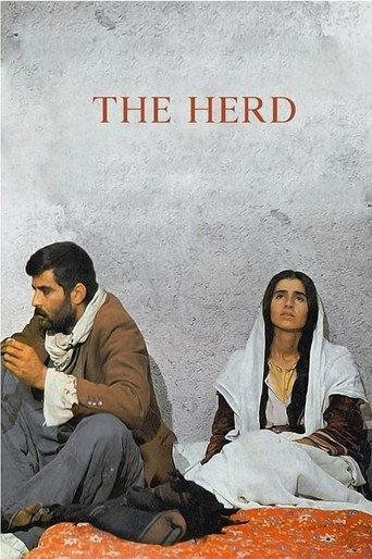 The Herd (1978) poster