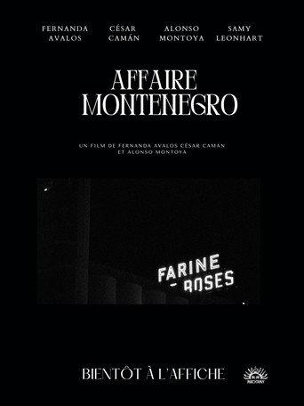 The Montenegro Affair () poster
