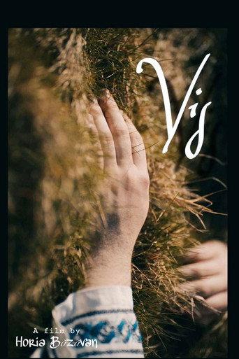 VIS () poster