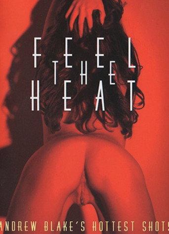 Feel the Heat (2004) poster