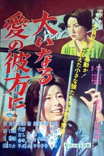 Girls Behind the Bars (1960) poster