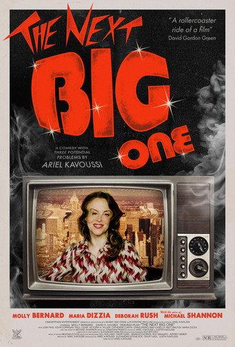 The Next Big One: A Comedy with Three Potential Problems () poster