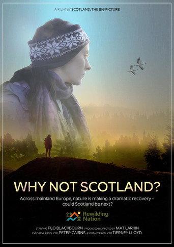 Why Not Scotland? () poster