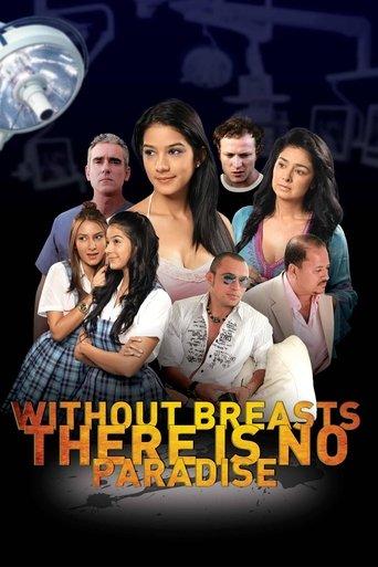Sin tetas no hay paraíso (2010) poster
