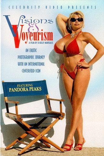 Visions and Voyeurism (1998) poster