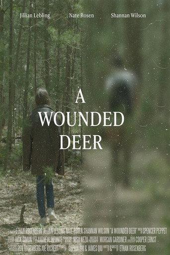 A Wounded Deer () poster