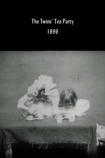 The Twins' Tea Party (1896) poster