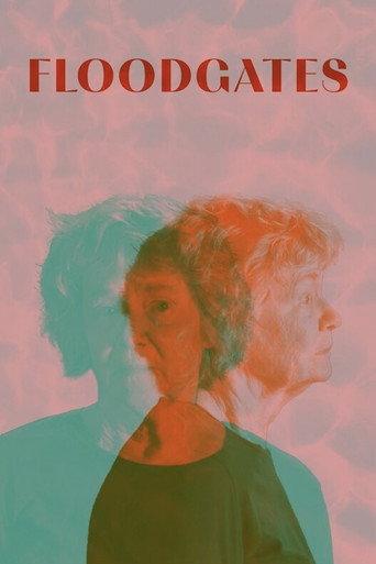 Floodgates (2026) poster