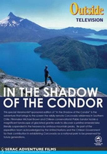 In the Shadow of the Condor (2002) poster