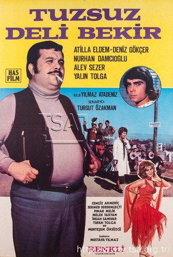 Tuzsuz Deli Bekir (1972) poster
