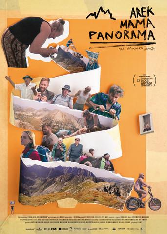 Bigger Picture (2026) poster