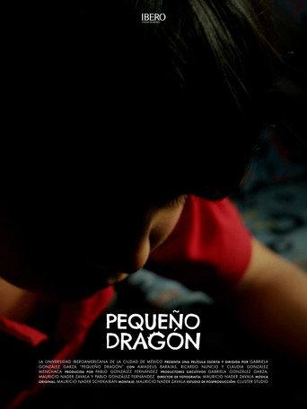 A Dragon's Flight () poster