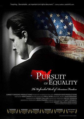 Pursuit of Equality (2005) poster