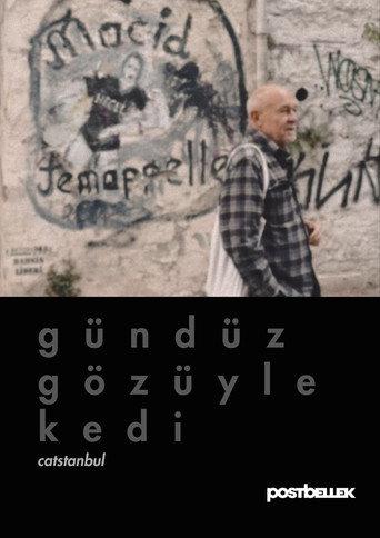 Catstanbul (2025) poster