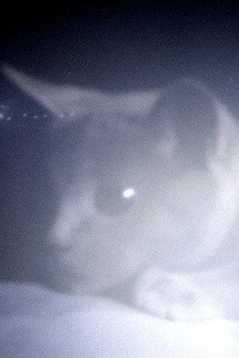 Somos animales (2023) poster