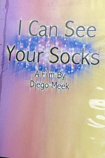 I Can See Your Socks (2013) poster