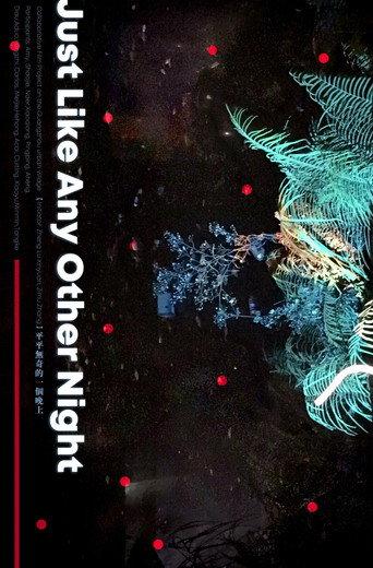 Just Like Any Other Night (2018) poster