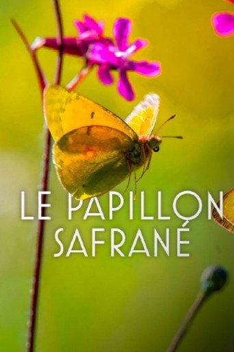 The Story of the Saffron Butterfly (2022) poster