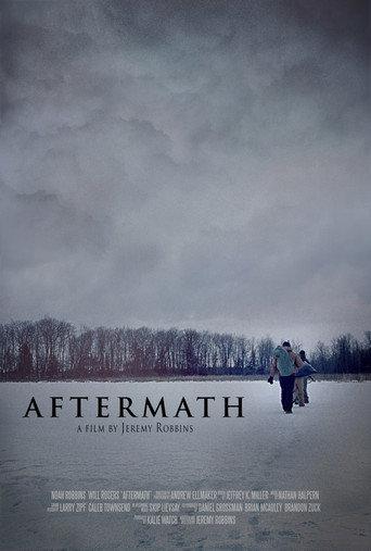 Aftermath (2013) poster
