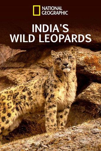 India's Wild Leopards (2020) poster