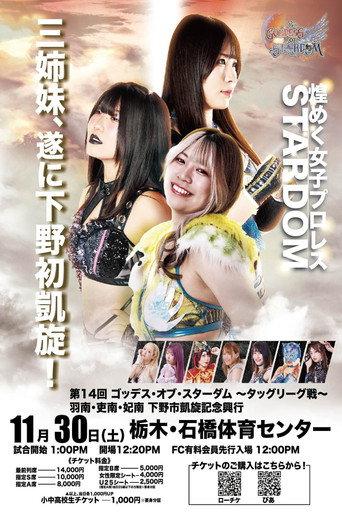 Stardom 14th Goddesses of Stardom Tag League ~ Hanan, Hina & Rina: Shimotsuke Triumphant Commemorative Event (2024) poster
