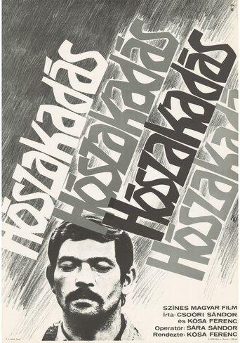 Snowfall (1974) poster