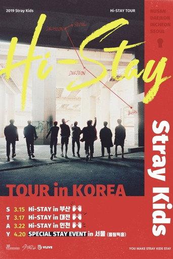 Stray Kids HI-STAY TOUR FINALE IN SEOUL (2019) poster
