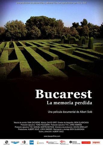 Bucarest, la memòria perduda (2008) poster