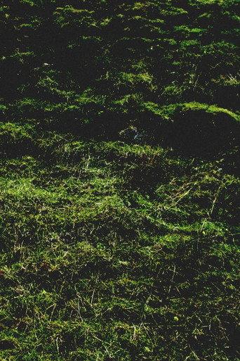 Untitled / Aubrac (2016) poster
